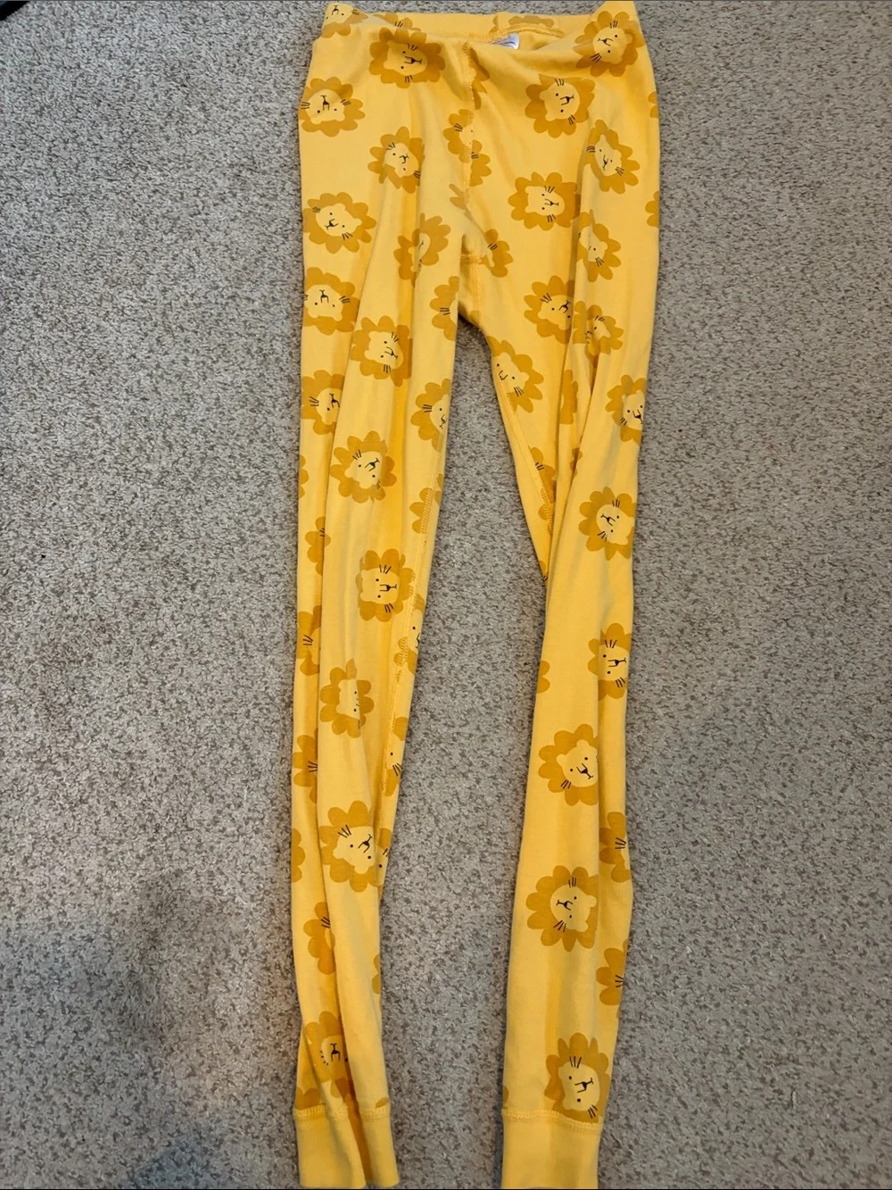 Hanna Andersson Lion PJ set, 10